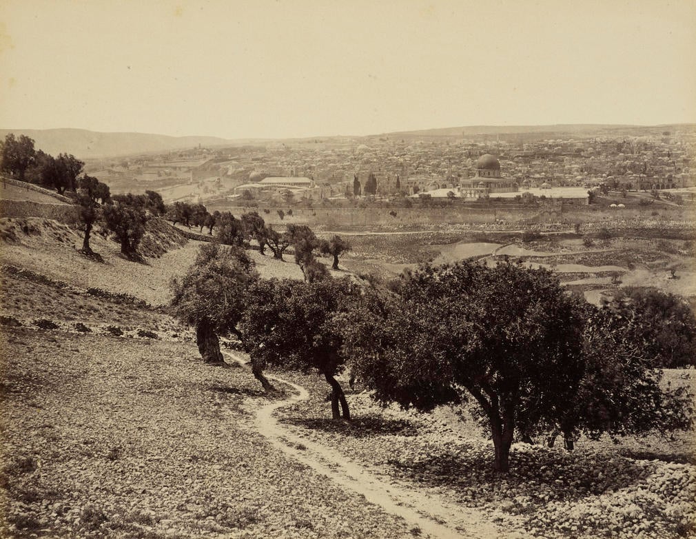 View from slopes and olive groves of the Mount of Olives towards distant rooftops of Jerusalem. 
The royal party arrived at Jerusalem in the evening of 31 March. They set up a camp outside the city walls, between the Damascus Gate and the Gate of St. Ste