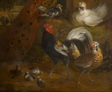 The idea of painting large-scale decorative canvases full of exotic birds in a formal garden setting was invented in Holland by Melchior de Hondecoeter (1636-95, see for example 405354). Bogdani was born in Hungary and moved to Amsterdam in 1684, where Me