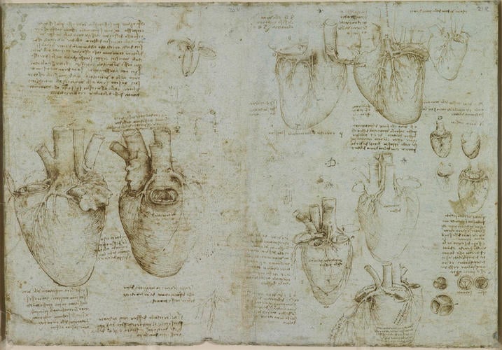 Recto: Studies of the valves and ventricles of the heart. Verso: Studies of the coronary vessels and valves of the heart