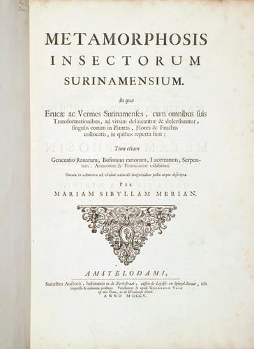 Metamorphosis insectorum Surinamensium, . . . tum etiam generatio ranarum, busonum rariorum, . . . omnia in America ad vivum . . . / picta atque descripta per Marian Sibyllam Merian