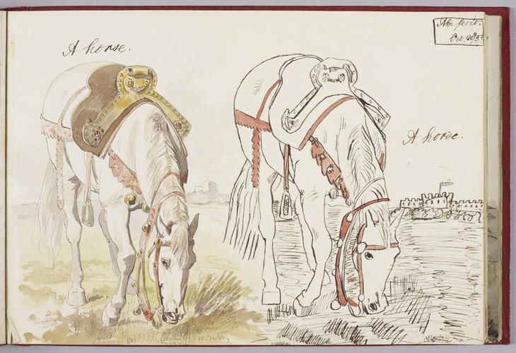 Master: Albert Edward's Teaching Sketch Book (Later Edward VII) 1853-54
Item: A horse
