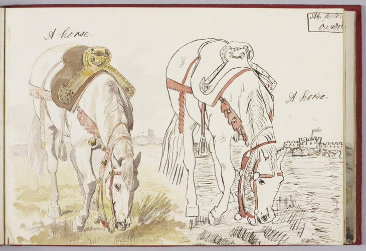 Master: Albert Edward's Teaching Sketch Book (Later Edward VII) 1853-54
Item: A horse Master: Albert Edward's Teaching Sketch Book (Later Edward VII) 1853-54
Item: A horse