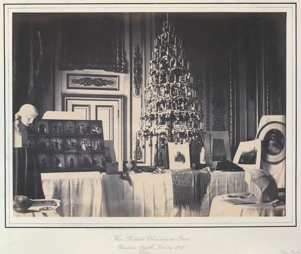 The Queen's Christmas Tree, Windsor Castle