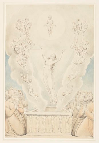 The Assumption