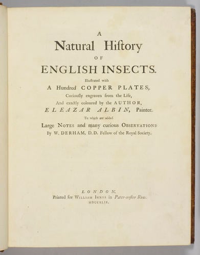 A Natural history of English insects / by Eleazar Albin