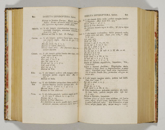 Systema naturae per regna tria naturae; secundum classes, ordines, genera, species, cum characteribus. . . ; v. 1 pt 2 / Carolus Linnaeus Systema naturae per regna tria naturae; secundum classes, ordines, genera, species, cum characteribus. . . ; v. 1 pt 2 / Carolus Linnaeus
