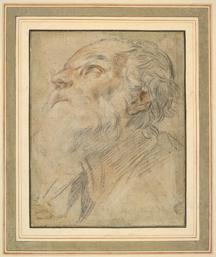 The head of a bearded man The head of a bearded man
