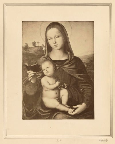 The Virgin and Child with a Goldfinch ['The Solly Madonna']