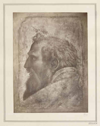 Head of a bearded man in profile to the left