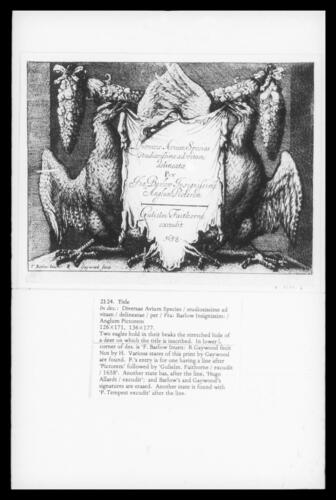 Title - Diversae Avium Species