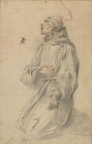 St Francis St Francis