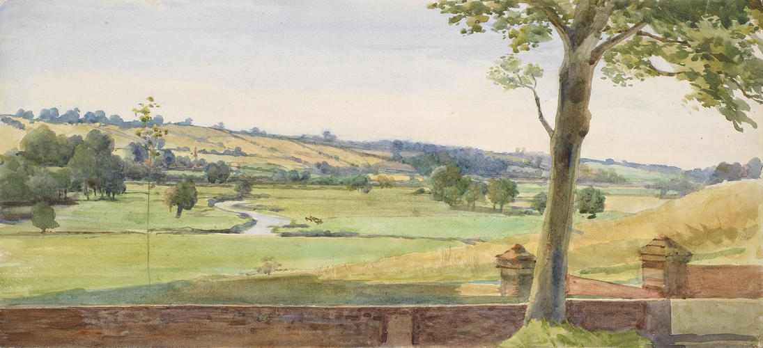 A parkland landscape