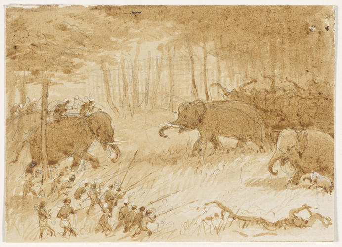 Encounter with a wild elephant Encounter with a wild elephant