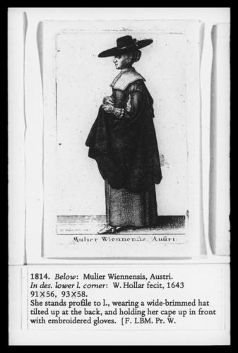 Mulier Wiennensis Austri Mulier Wiennensis Austri
