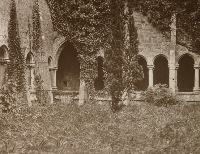 Cloisters of Quin Abbey Cloisters of Quin Abbey