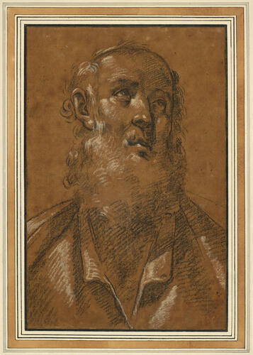 The head of a bearded man looking to the right The head of a bearded man looking to the right