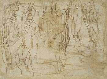 Anatomical studies of a male body