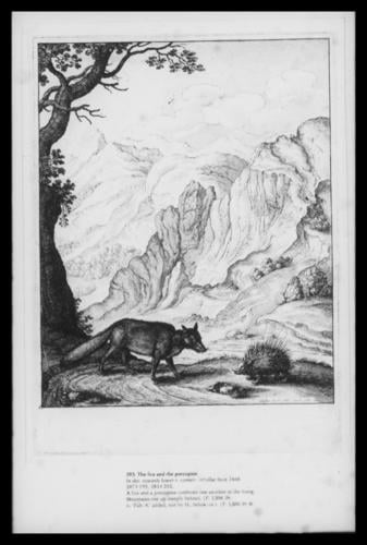 The fox and the porcupine The fox and the porcupine