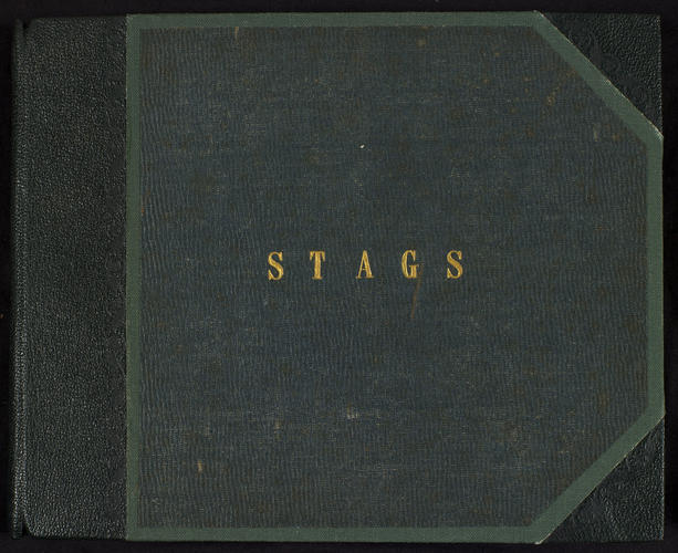 Stags; Volume 1