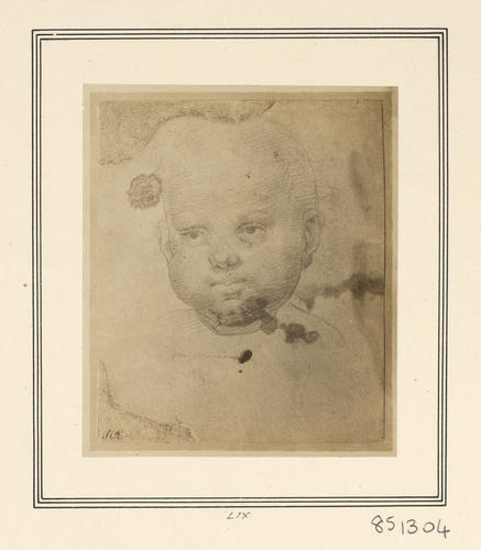 Study of the head of a child