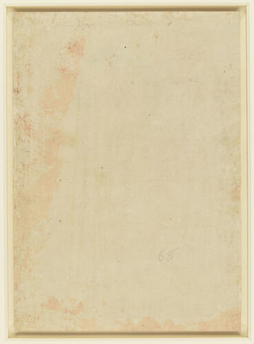 Elizabeth, Lady Audley (d. 1557) Elizabeth, Lady Audley (d. 1557)