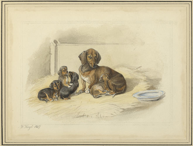 Waldina and her puppies. 1847