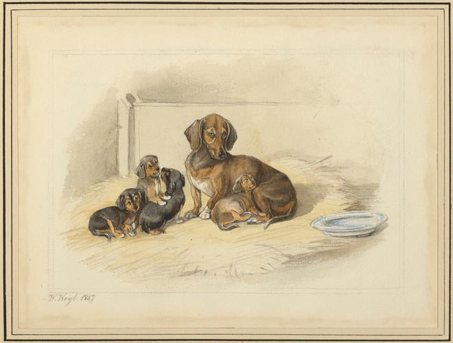 Waldina and her puppies. 1847 Waldina and her puppies. 1847