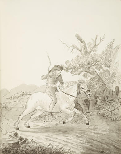 A horse and rider A horse and rider