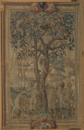 Boys playing in a fruit tree