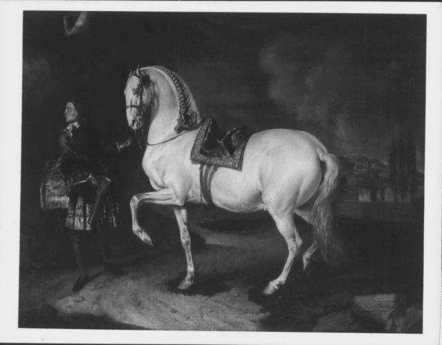 The Favourite Horse of the Duke of Modena The Favourite Horse of the Duke of Modena