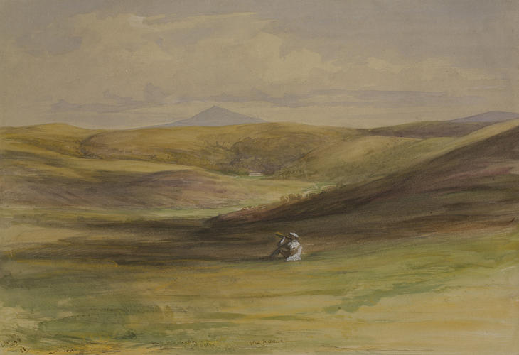 View in Glen Fiddich