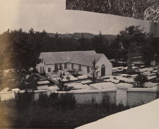Bermuda 1880: Old Devonshire Church: the oldest cedar tree on the island on the right, a large young tree grows inside the old one
