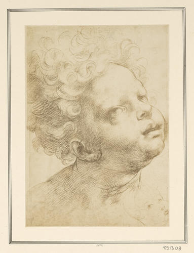 Studies of the head of a child