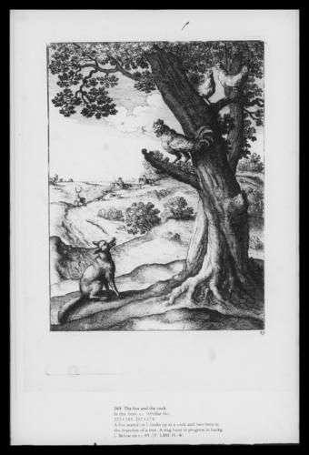 The fox and the cock The fox and the cock