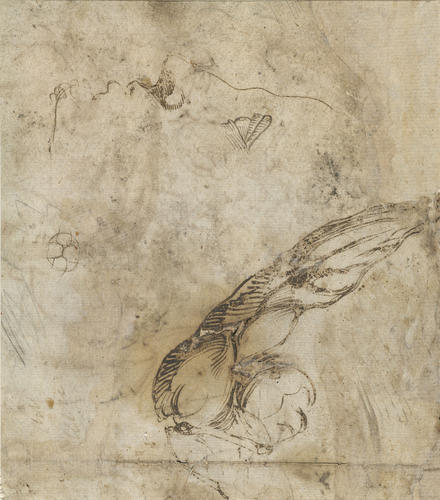 Recto: A sheet of studies including a grotesque head in profile. Verso: A study of an arm and should, and an unfinished profile Recto: A sheet of studies including a grotesque head in profile. Verso: A study of an arm and should, and an unfinished profile