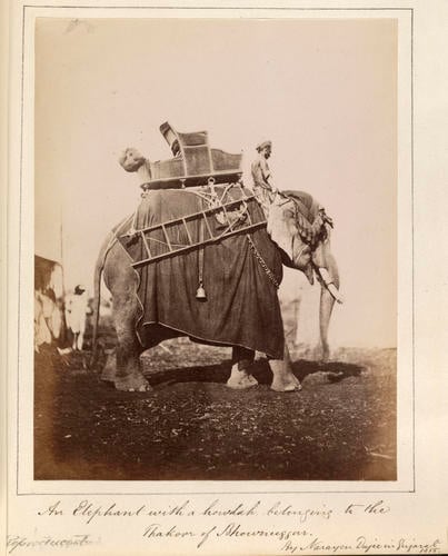 Elephant with howdah