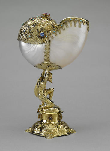 Nautilus cup