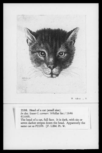 Head of a Cat (small size) Head of a Cat (small size)