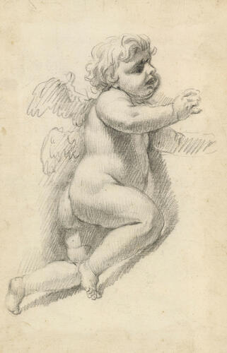 A putto