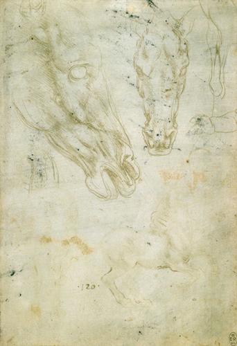 Studies of horses and horses' heads