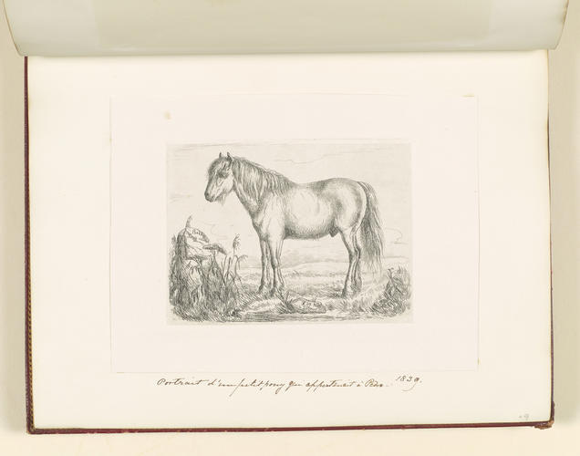 Master: Collection of Etchings done by Ferdinand King of Portugal, 1840.
Item: A small horse