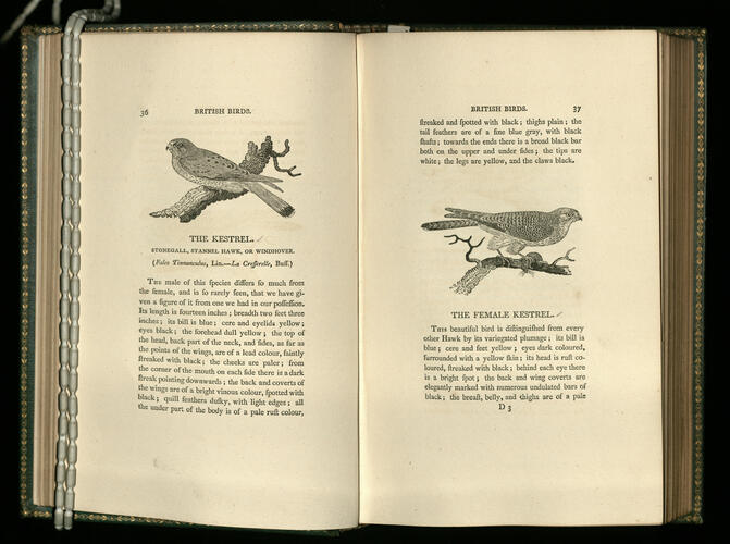History of British birds ; v. 1 containing the history and description of land birds / the figures engraven on wood by T Bewick History of British birds ; v. 1 containing the history and description of land birds / the figures engraven on wood by T Bewick