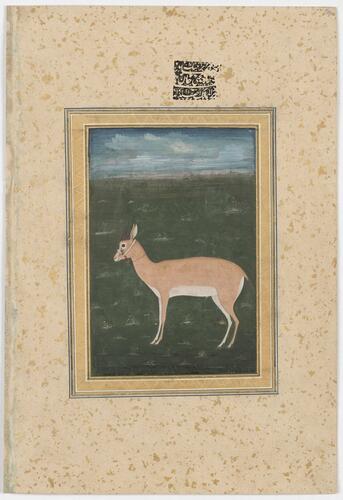 Master: Mughal album of portraits, animals and birds.
Item: Paintings of a courtesan and a gazelle Master: Mughal album of portraits, animals and birds.
Item: Paintings of a courtesan and a gazelle