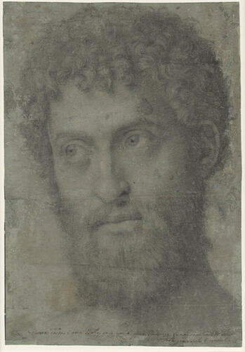 The head of a man