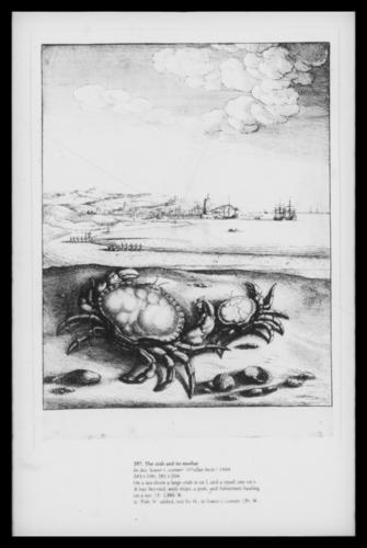 The crab and its mother The crab and its mother