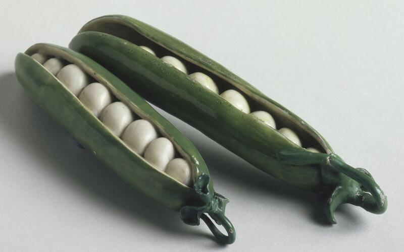 Models of open pea pods