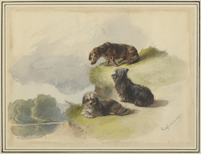 Briach, Dächel and Dandie Dinmont. 26 April 1847 Briach, Dächel and Dandie Dinmont. 26 April 1847