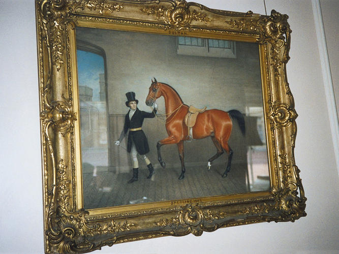 Sultan Sultan