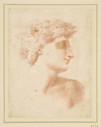 The head of Bacchus The head of Bacchus