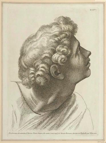 Master: Set of twenty-four heads from the 'Parnassus'
Item: Head of a youth [from the 'Parnassus']